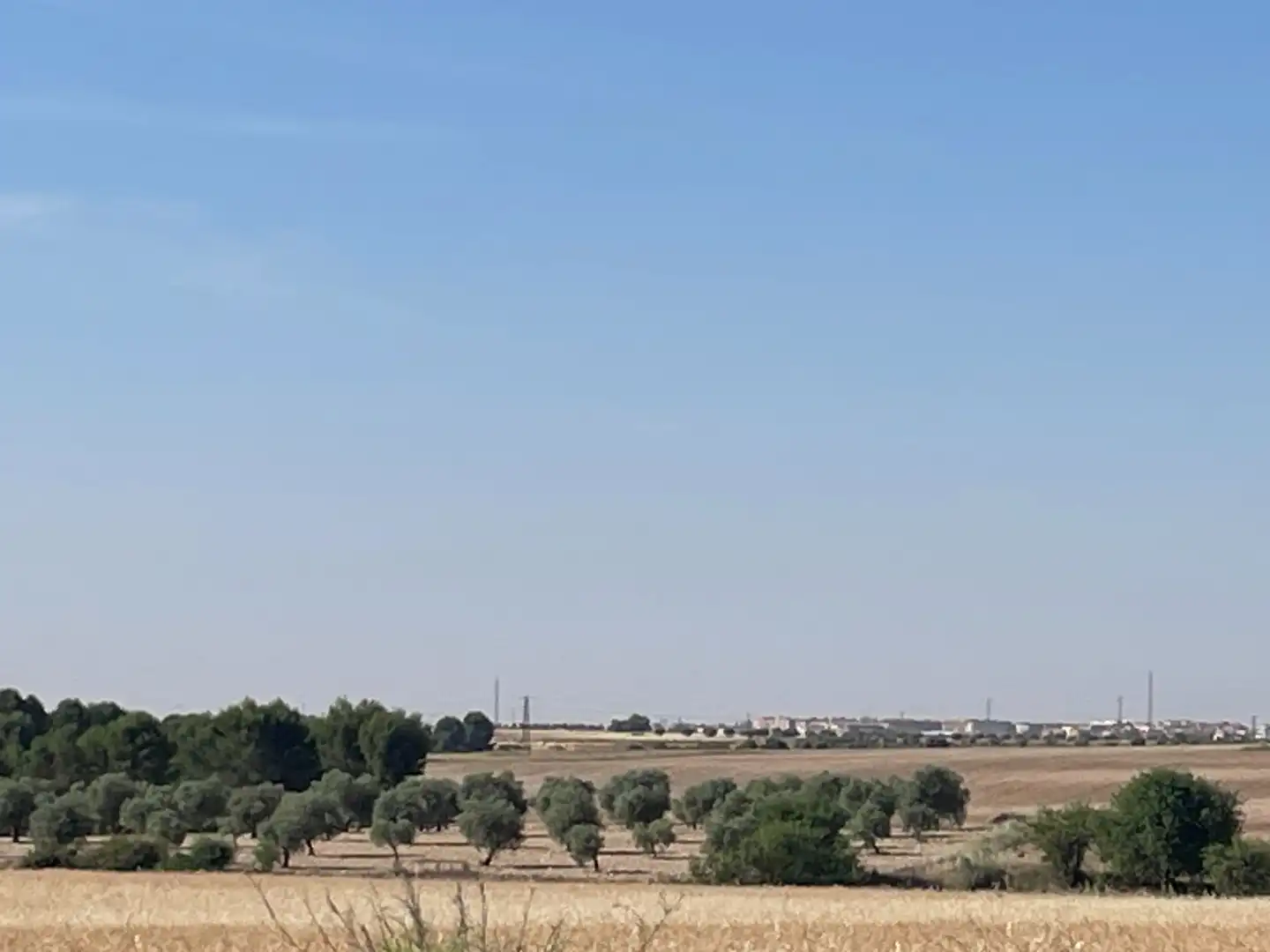 Terreno rustico in vendita a Ontígola, imagen 9