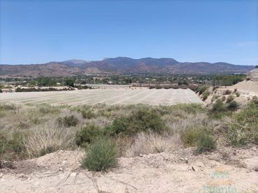 Terrenos y solares en venta en Totana