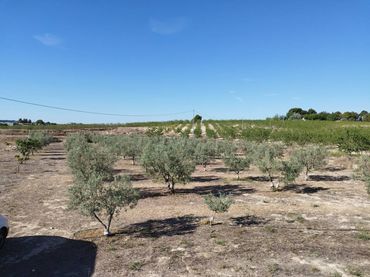 Terreno residenziale in vendita a Caravaca de la Cruz