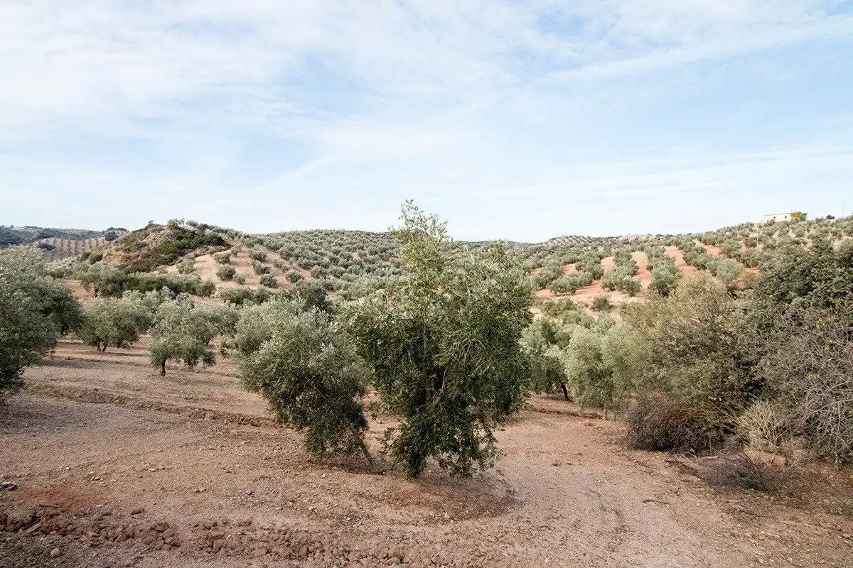 Country homes for sale in Loja