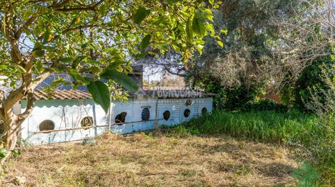 Foto 4 von Country house zum Verkauf in Caballero Bonald - San José Obrero - Guadalcacín, Jerez de la Frontera