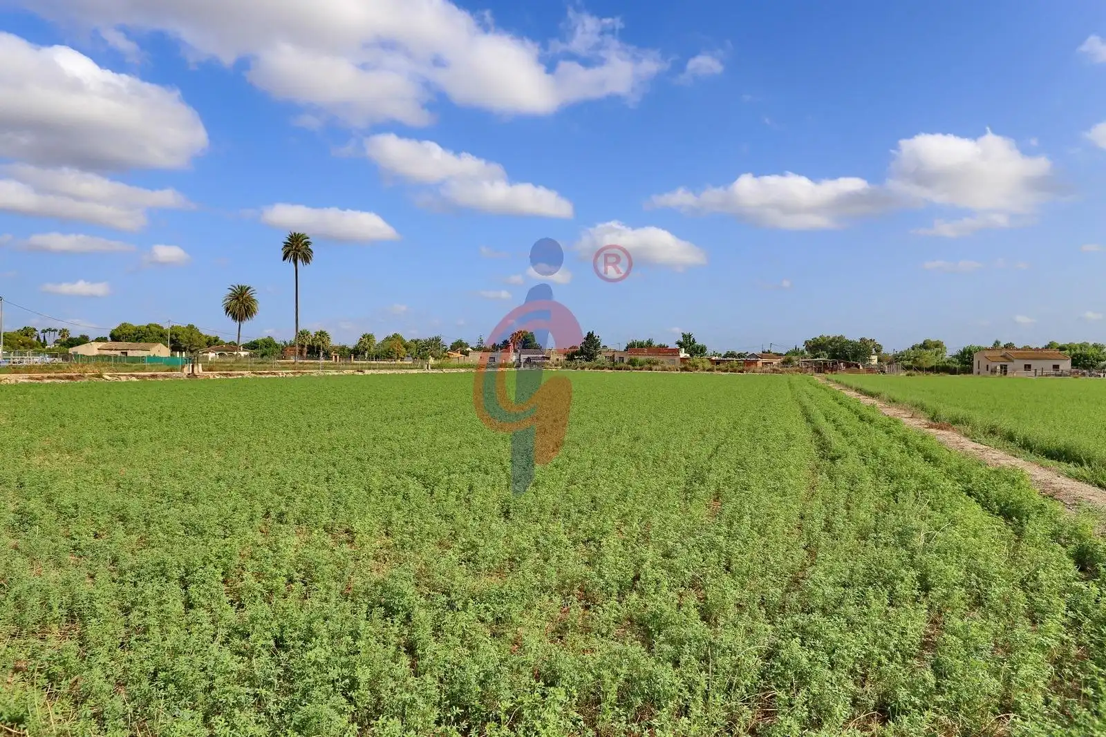 Finca rústica en venda en Callosa de Segura amb Jardí privat