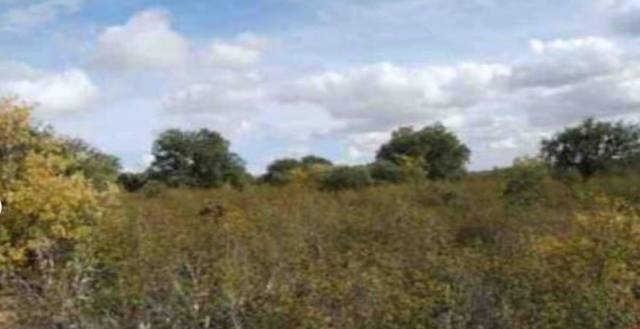 Terreno residencial en Venta en Carretera N630 Pk 303 Valparaiso Parcela en Corrales del Vino