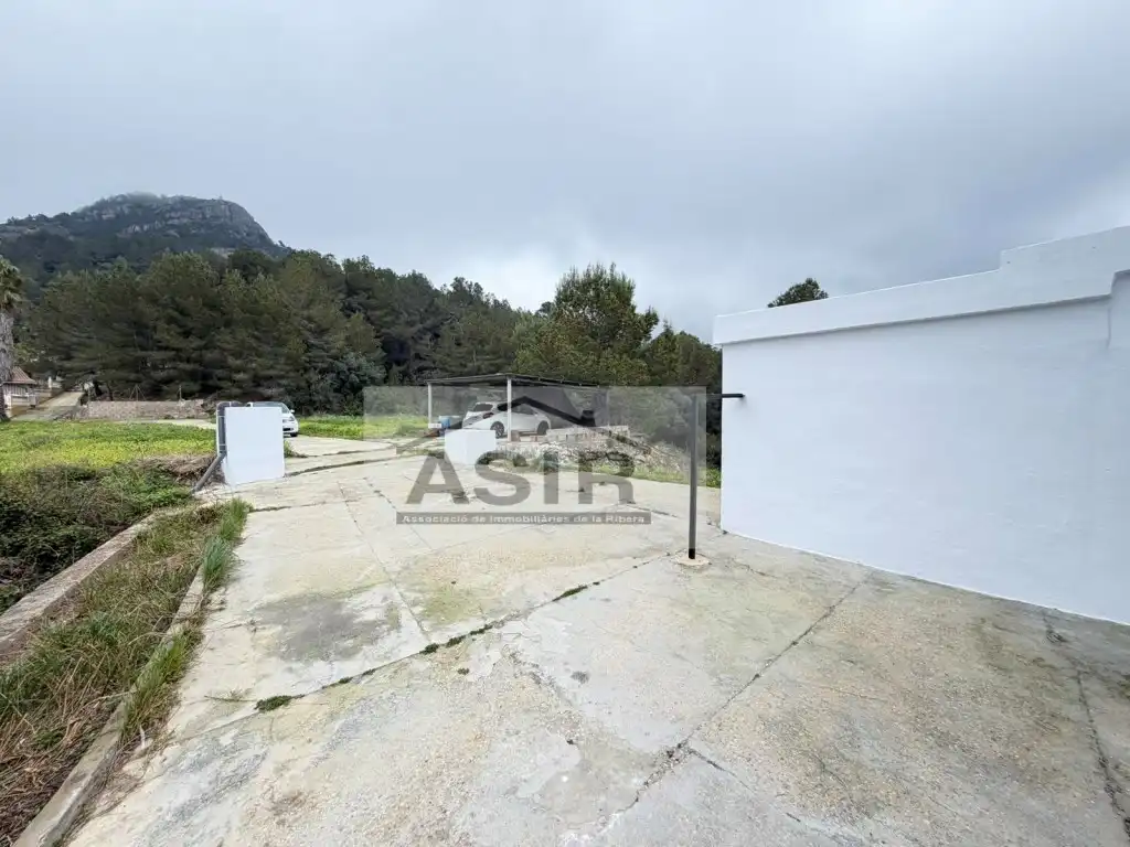 Exterior view of Houses for sale in Alzira
