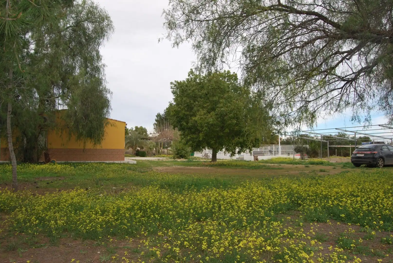 Vista exterior de Finca rústica en venta en Murcia con Aire acondicionado, Jardín privado y Terraza