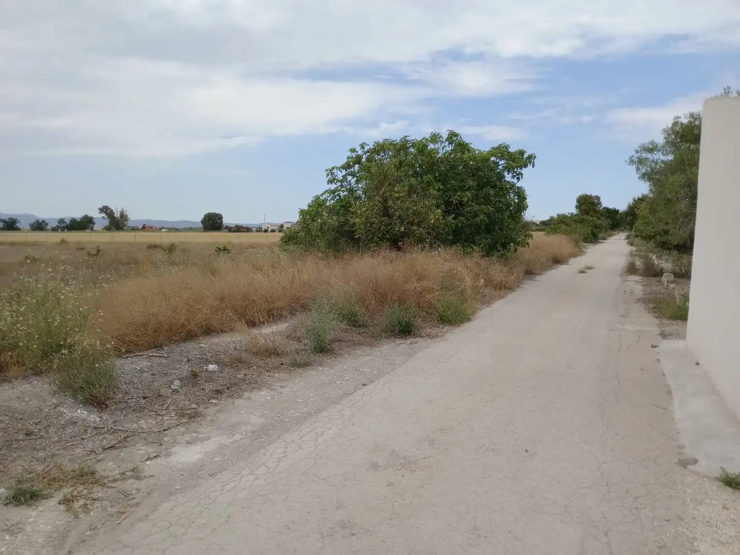 Terreno industrial en venta en Formentera del Segura
