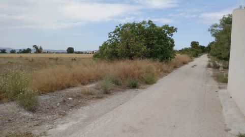Foto 3 de Terreny industrial en venda a Formentera del Segura, Alicante