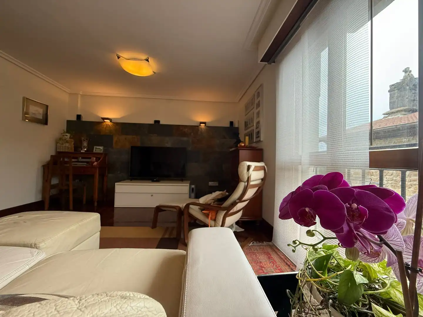 Living room of Detached homes for sale in Asteasu  with Terrace, Furnished and Balcony