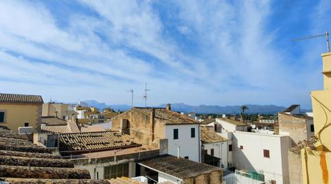 Foto 2 de Finca rústica en venta en  Lledoner. del, Ciutat d'Alcúdia, Alcúdia