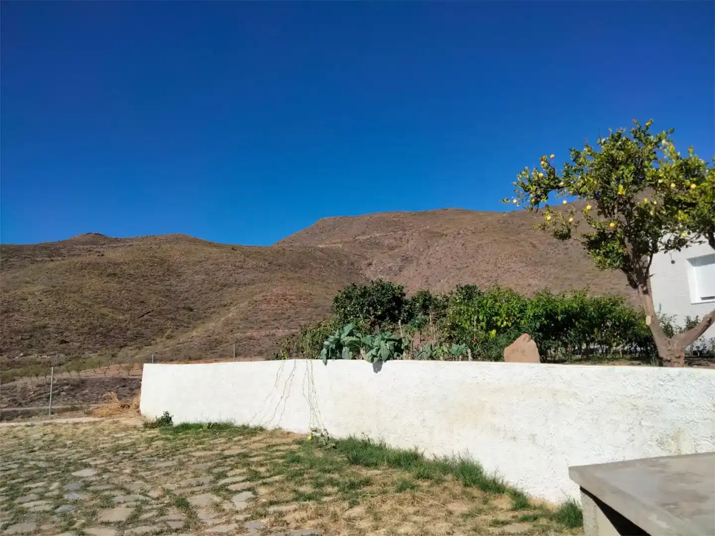 Vista exterior de Casa o xalet en venda en Uleila del Campo amb Aire condicionat