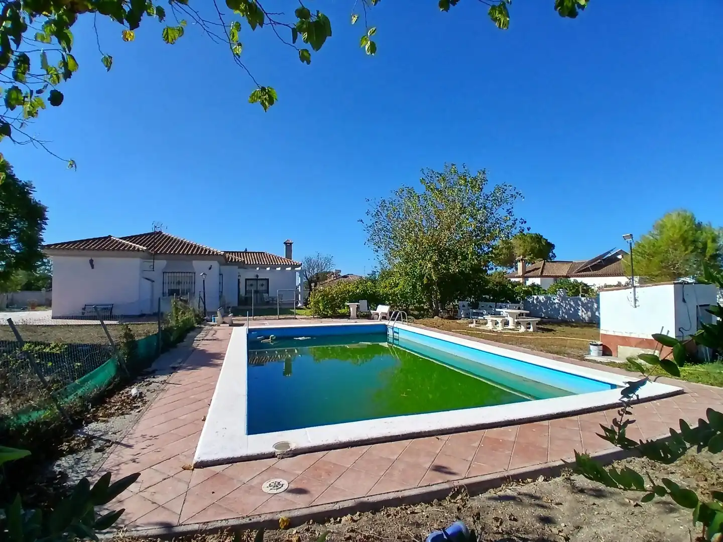Piscina de Casa o chalet en venta en Puerto Real con Piscina