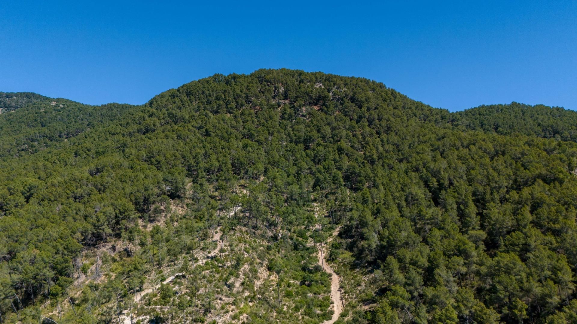 Finca rústica en venda en  Palma de Mallorca amb Terrassa