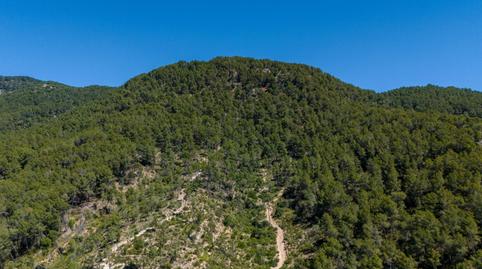 Photo 2 of Country house for sale in Son Roca, Illes Balears