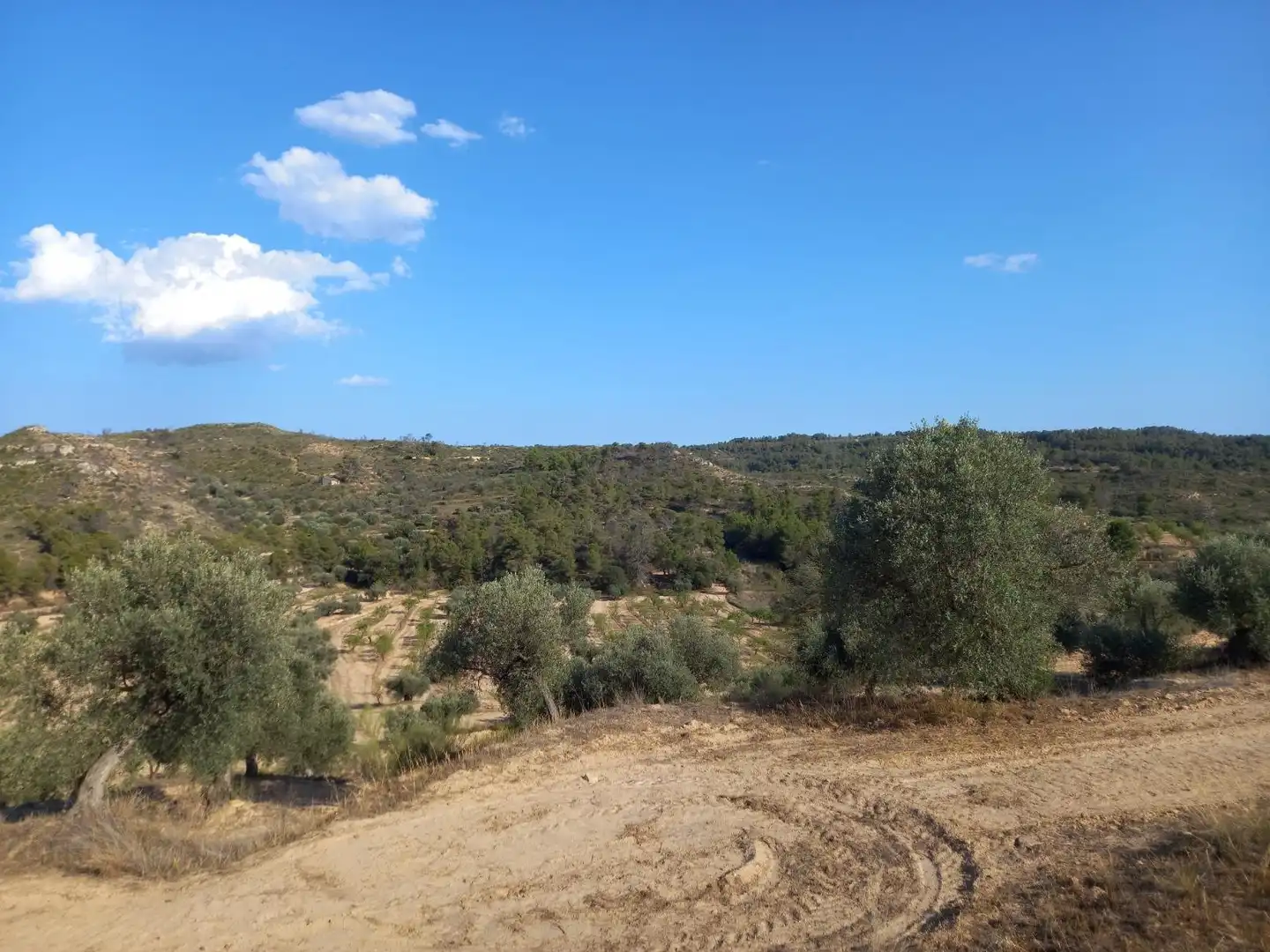 Terreno residencial en venta en Flix, imagen 28
