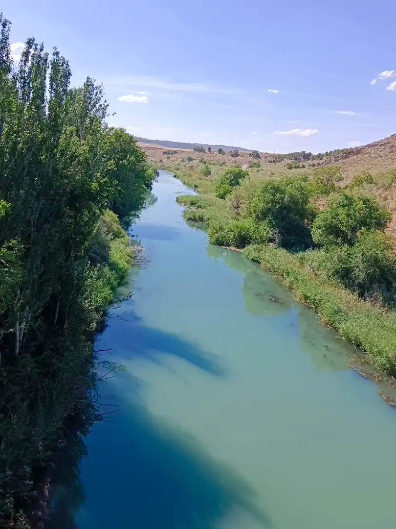 Vista exterior de Casa o xalet en venda en Illana amb Jardí privat, Terrassa i Piscina