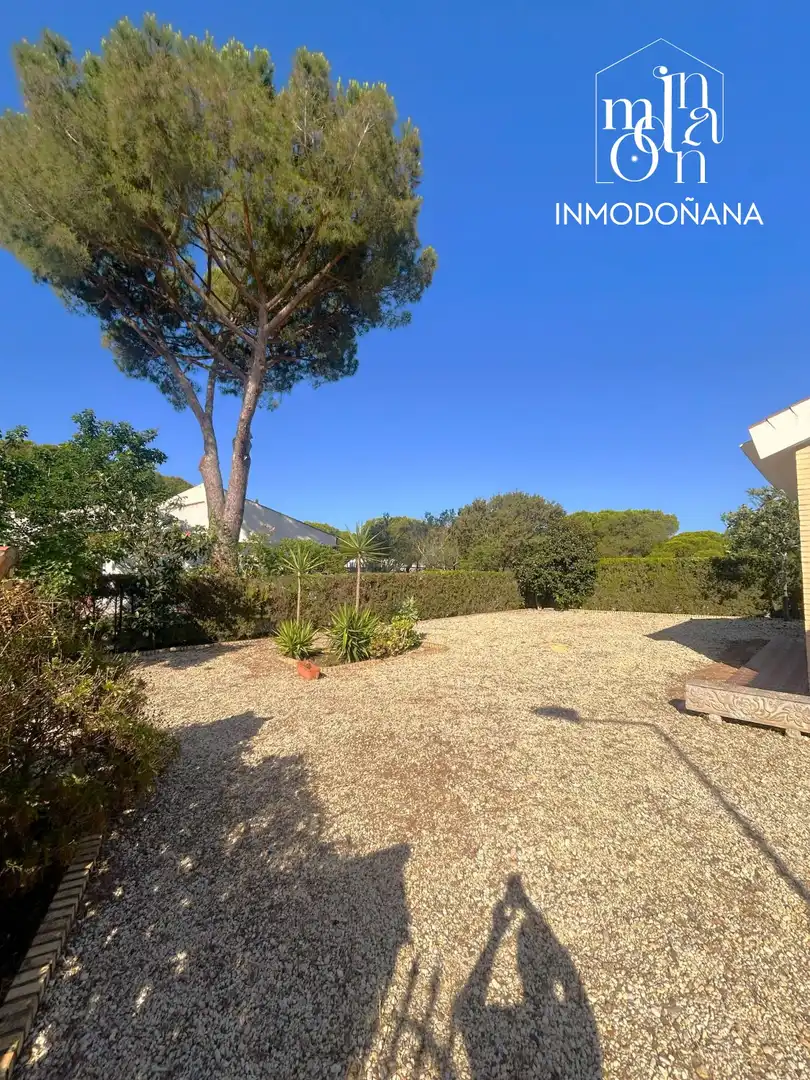 Jardí de Casa o xalet en venda en Almonte amb Jardí privat, Terrassa i Moblat