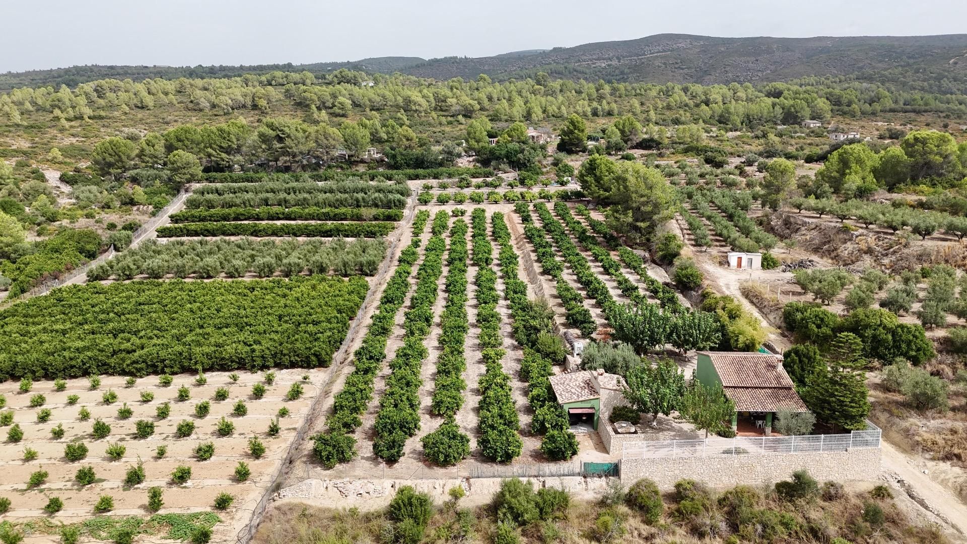 Casa o xalet en venda en Benicolet amb Jardí privat i Terrassa