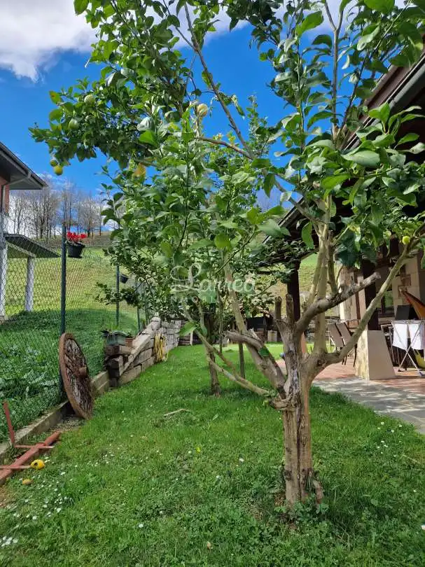 Garden of Detached homes for sale in Areatza  with Heating, Private garden and Storage room