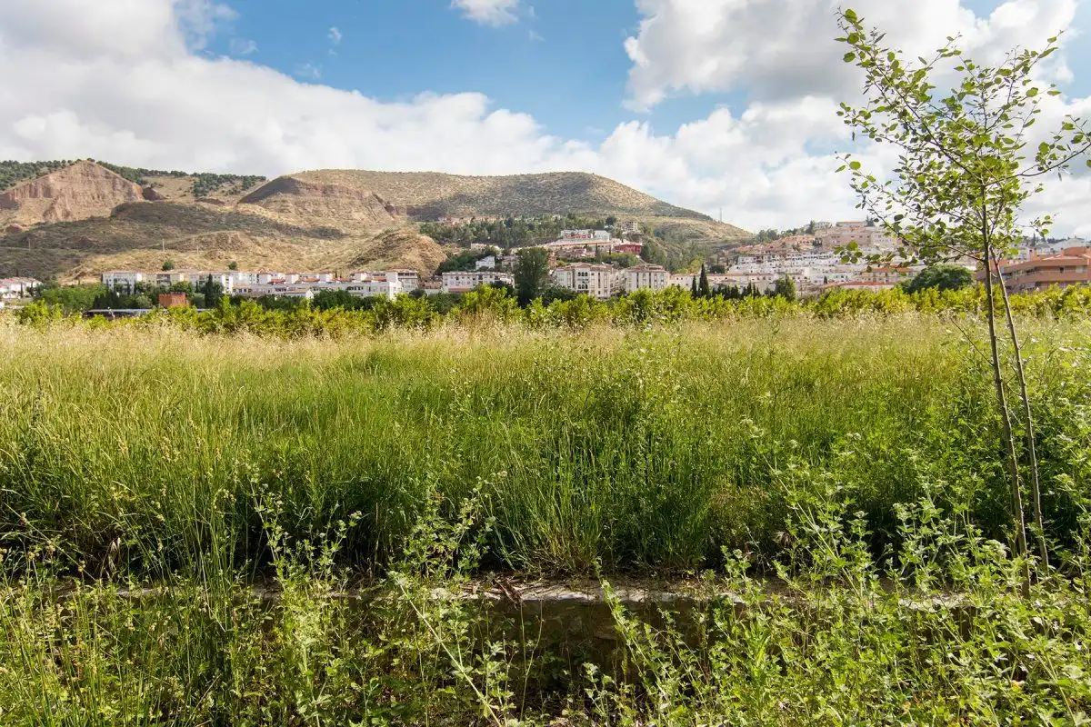Casa rústica en venta en Genil, imagen 8