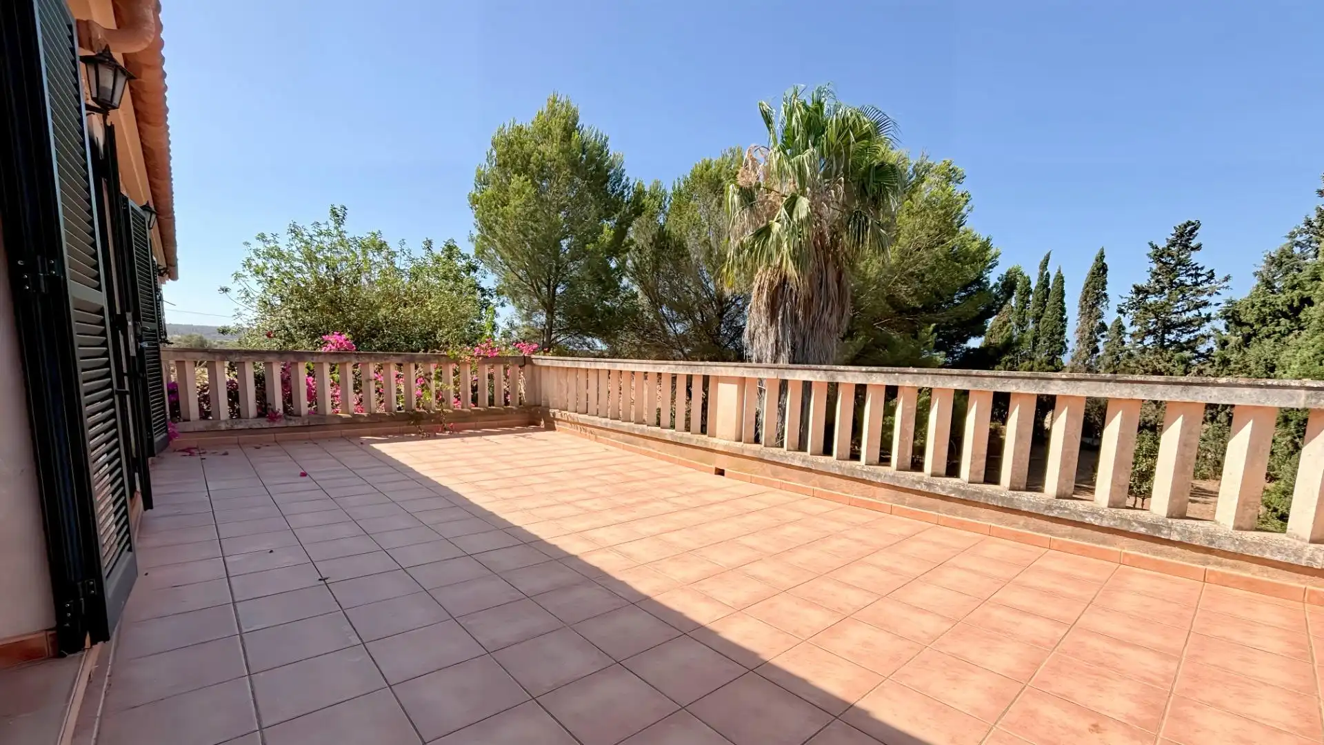 Finca rústica en venta en Camino del palmer, 528, Zona Rústica - Interior