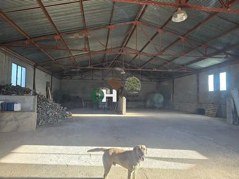 Terrenos y solares en venta en Santa María  - Pío XII, imagen 11