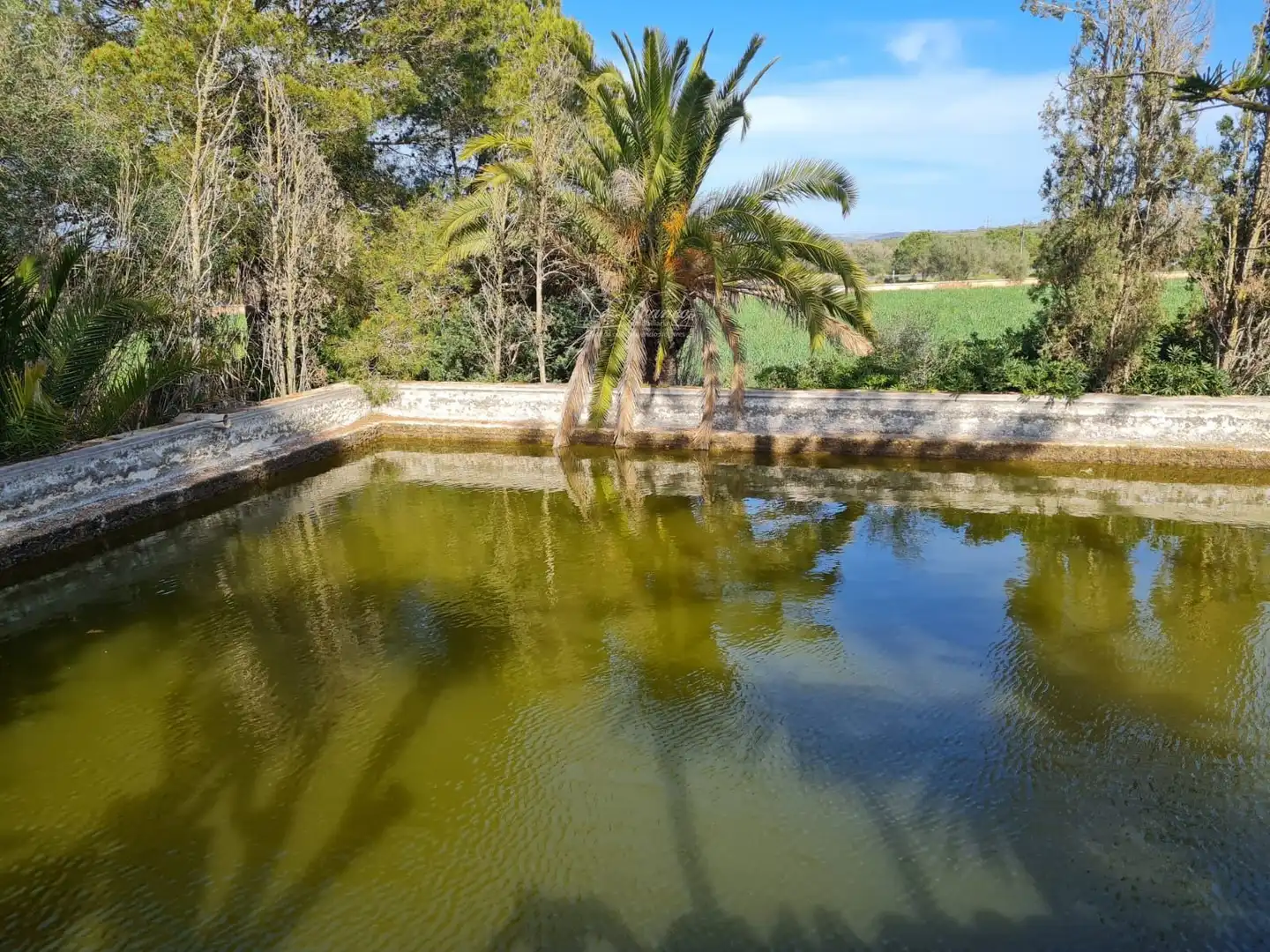 Piscina de Casa adosada en venta en Campos con Trastero y Piscina