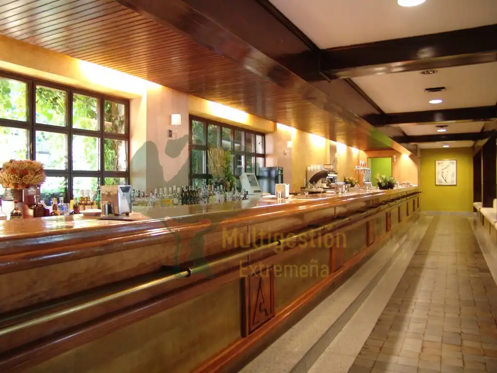 Local comercial en venda a N-630, imagen 14