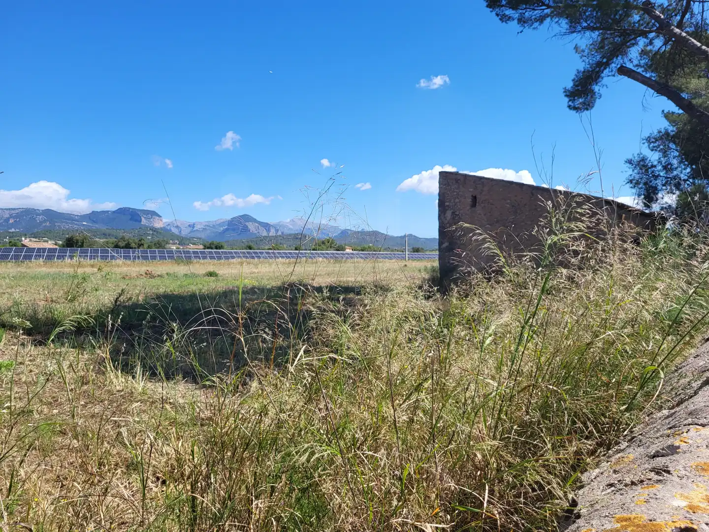 Terrain rustique à vendre à Polígono 2 Parcela 1, imagen 27