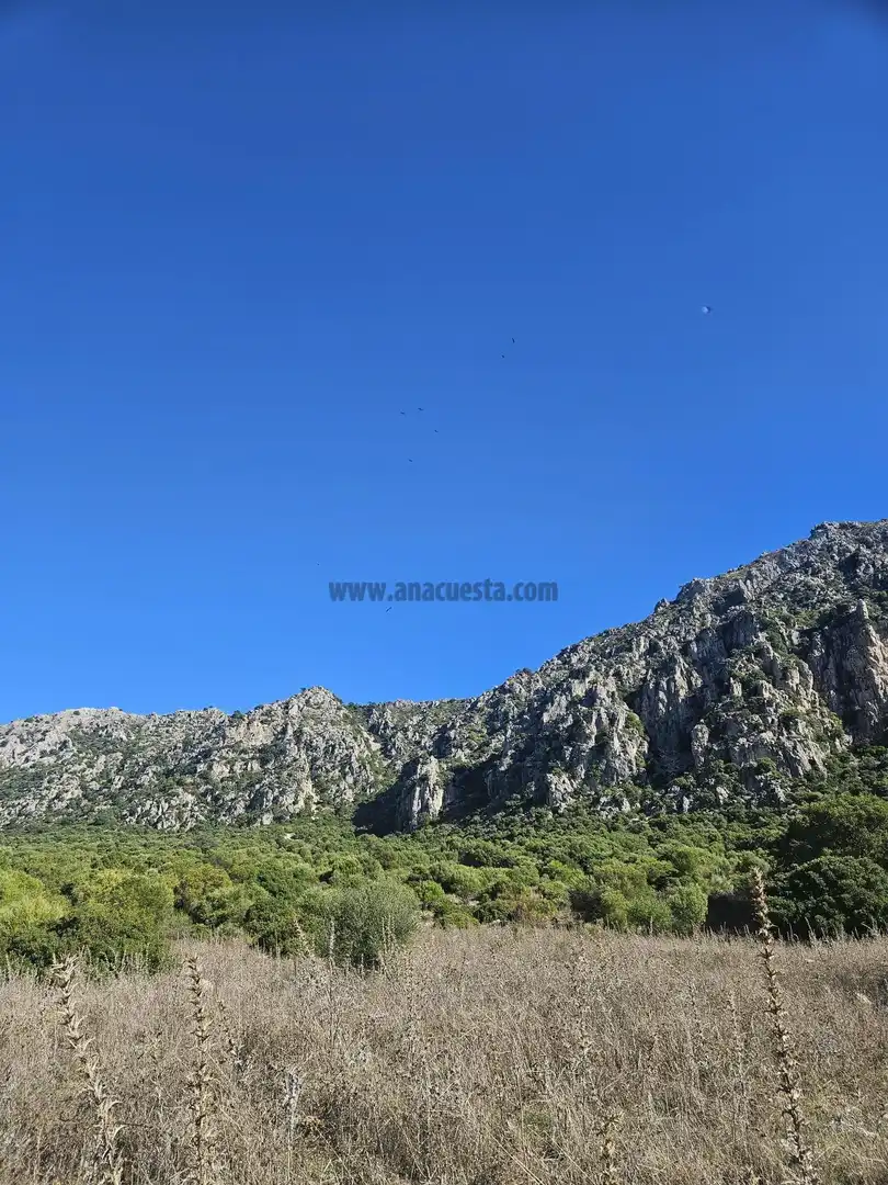 Vista exterior de Residencial en venda en Casares pueblo