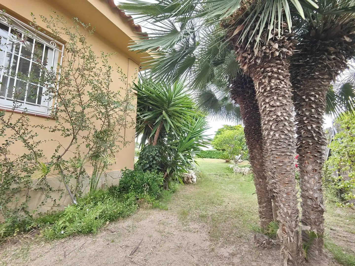Casa o xalet en venda en Cunit amb Calefacció, Jardí privat i Piscina