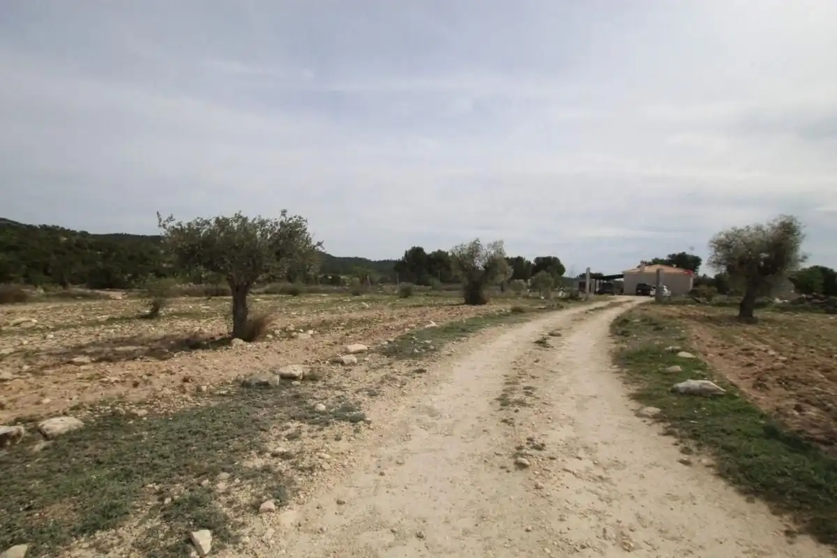 Detached house for sale in Monóvar  / Monòver, imagen 15