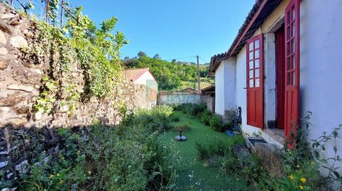 Foto 4 de Casa o xalet en venda a Castrelo de Miño, Ourense
