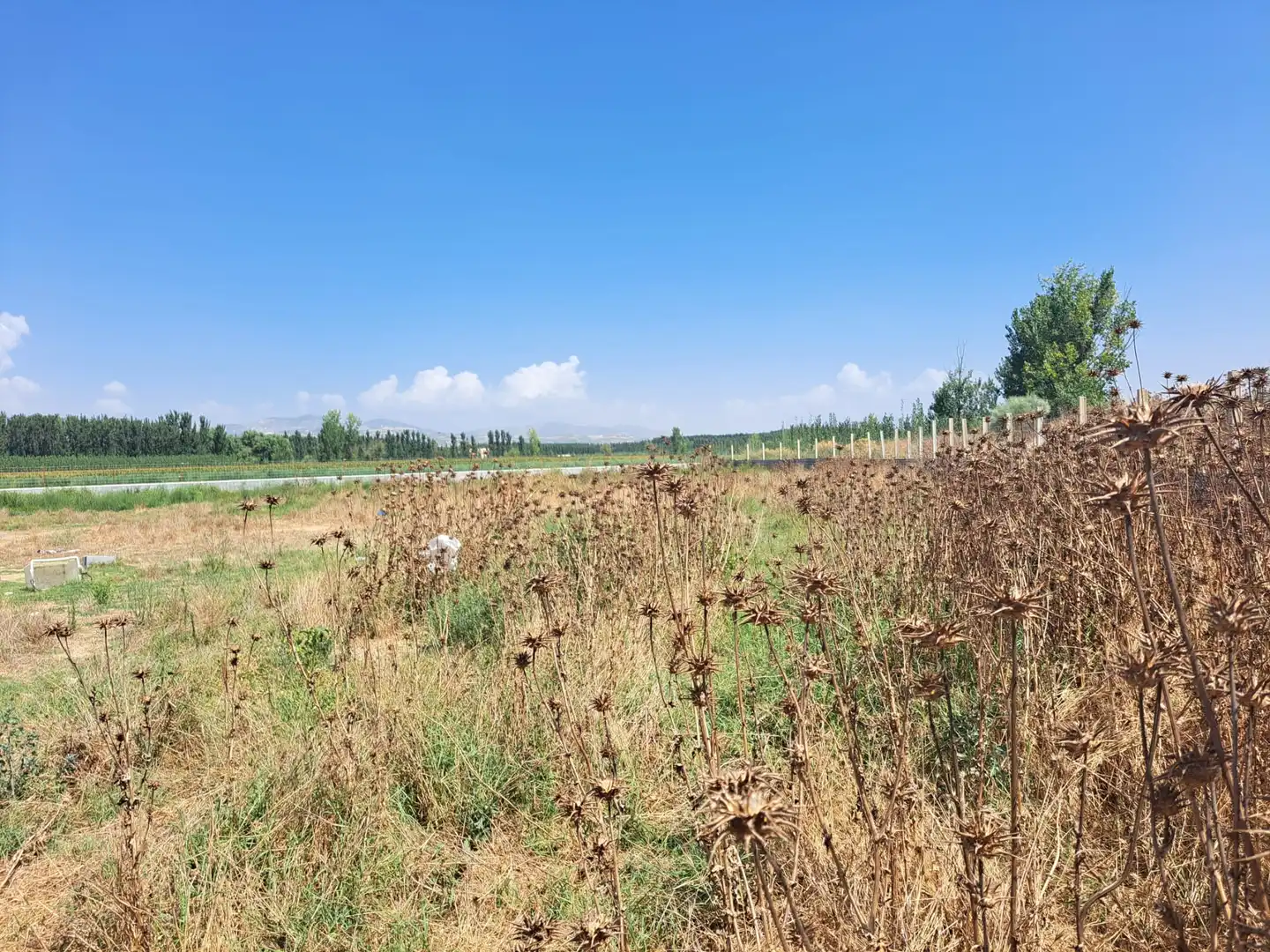 Terrains et parcelles à vendre à Fuente Vaqueros, imagen 6