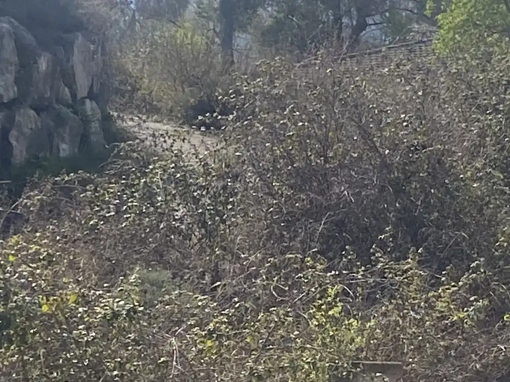 Casa o xalet en venda en Castellbell i el Vilar