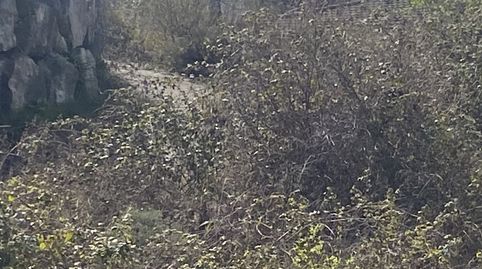 Photo 4 of Houses for sale in Calle Mas Ventos, Castellbell i el Vilar, Barcelona