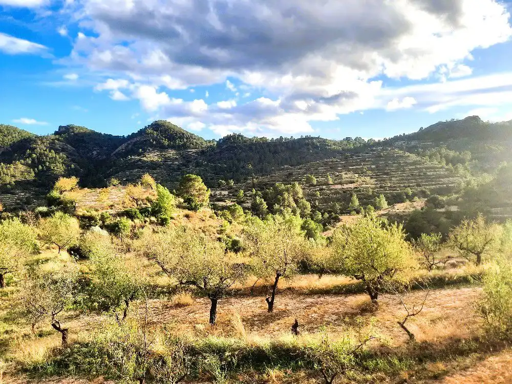 Finca rústica en venta en Sella con Terraza