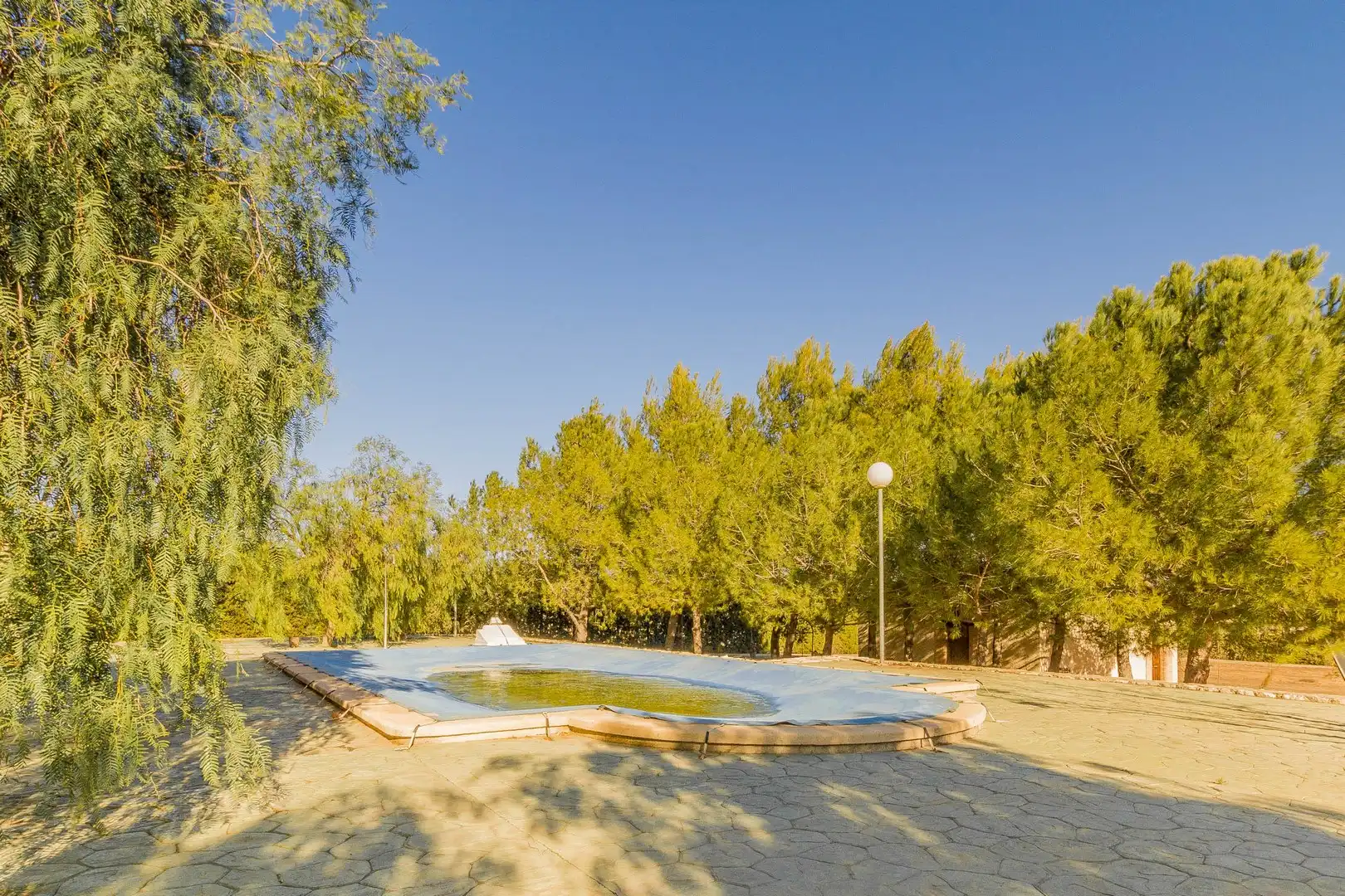 House with pool for sale in Yecla, imagen 3