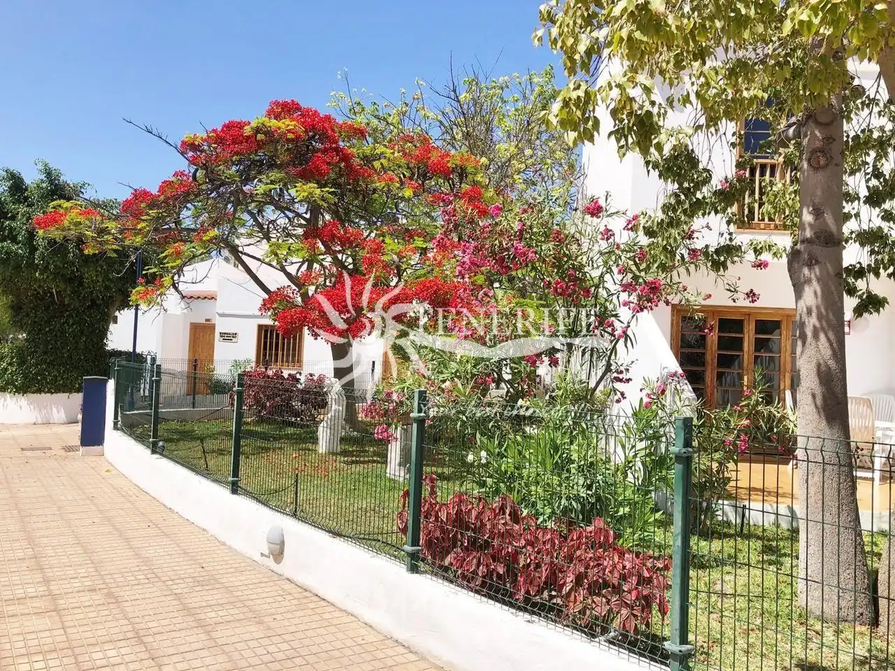 Garten von Wohnung zum Verkauf in Adeje mit Terrasse und Möbliert