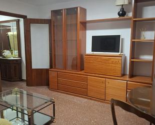 Living room of Flat to rent in  Granada Capital  with Heating, Terrace and Balcony