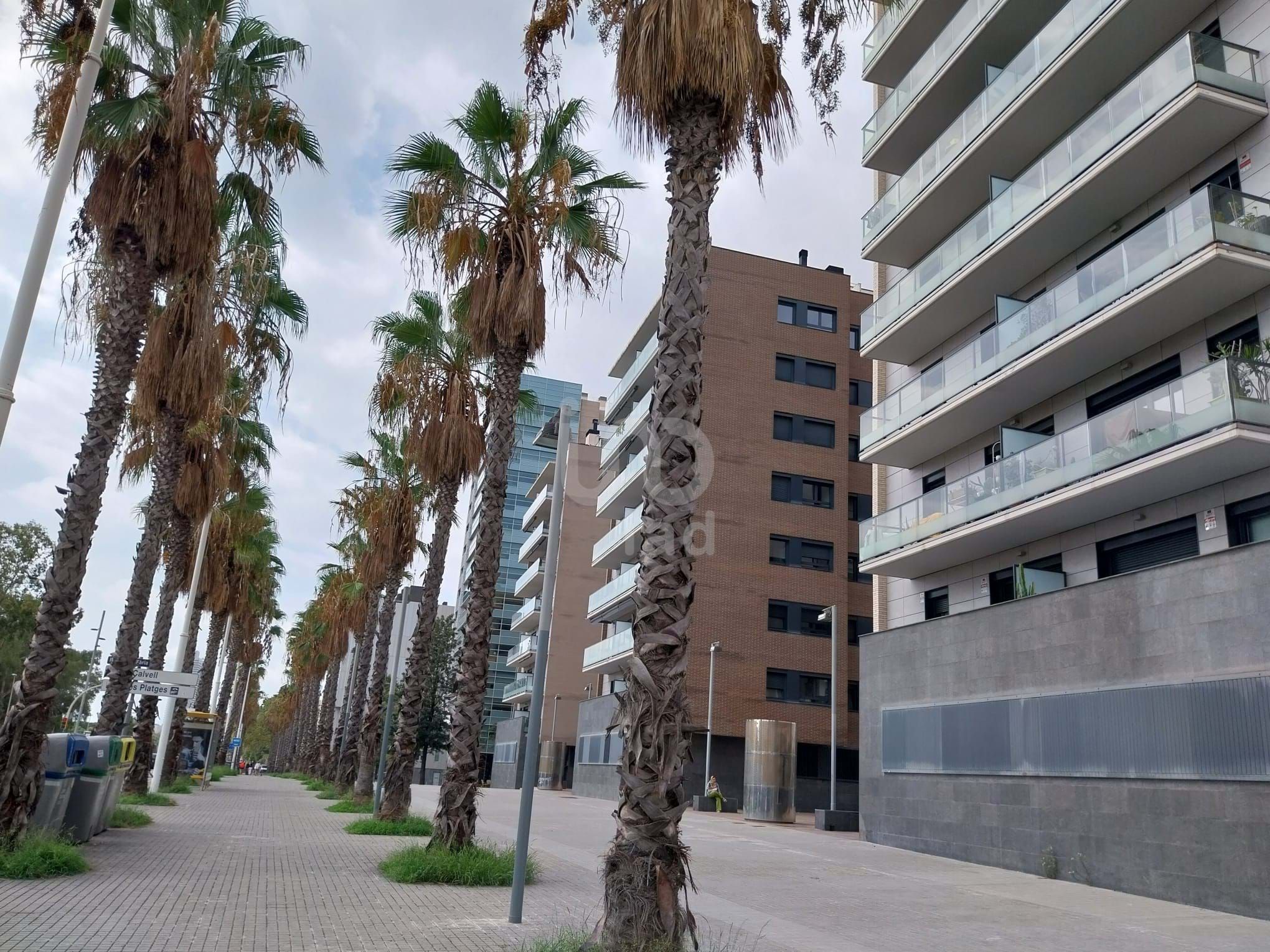 Exterior view of Flat for sale in  Barcelona Capital  with Air Conditioner, Heating and Swimming Pool