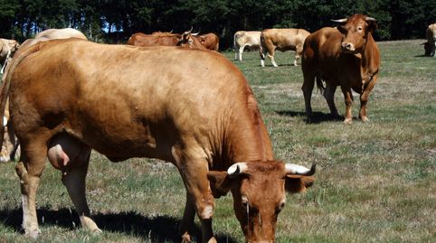 Foto 2 de Terreny industrial de lloguer a Riudecols, Tarragona