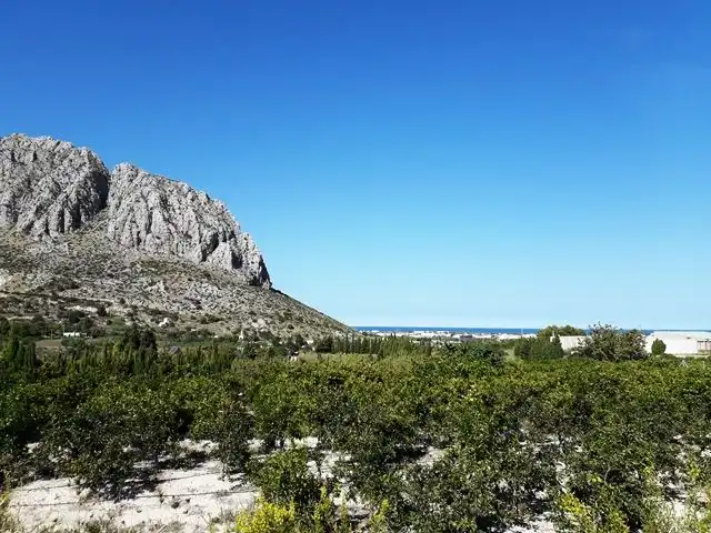 Terreny rústic en venda a Ondara, imagen 7