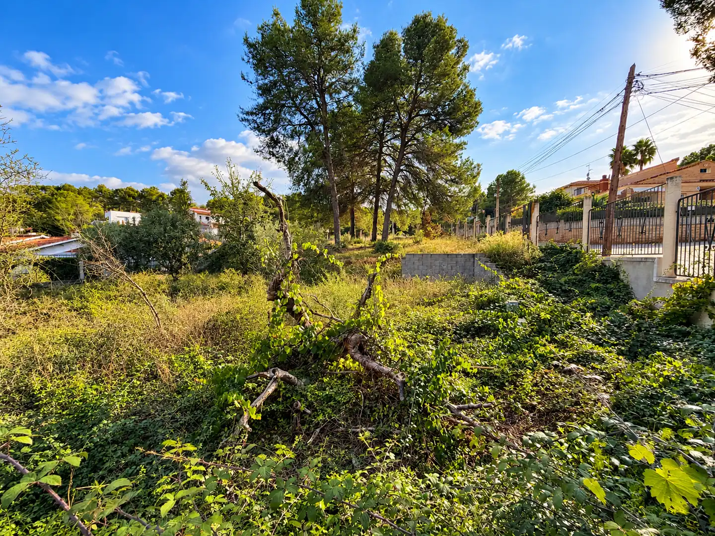 Terreno residencial en venta en Olivella, imagen 6