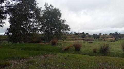 Photo 2 of Country house for sale in Oeste, Badajoz