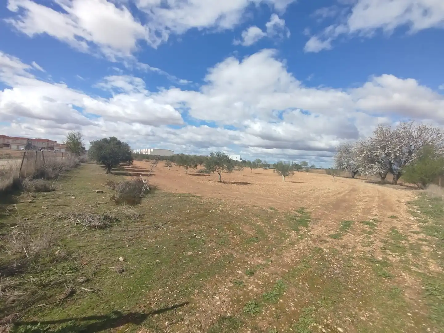 Lands and plots for sale in Quintanar de la Orden, imagen 2