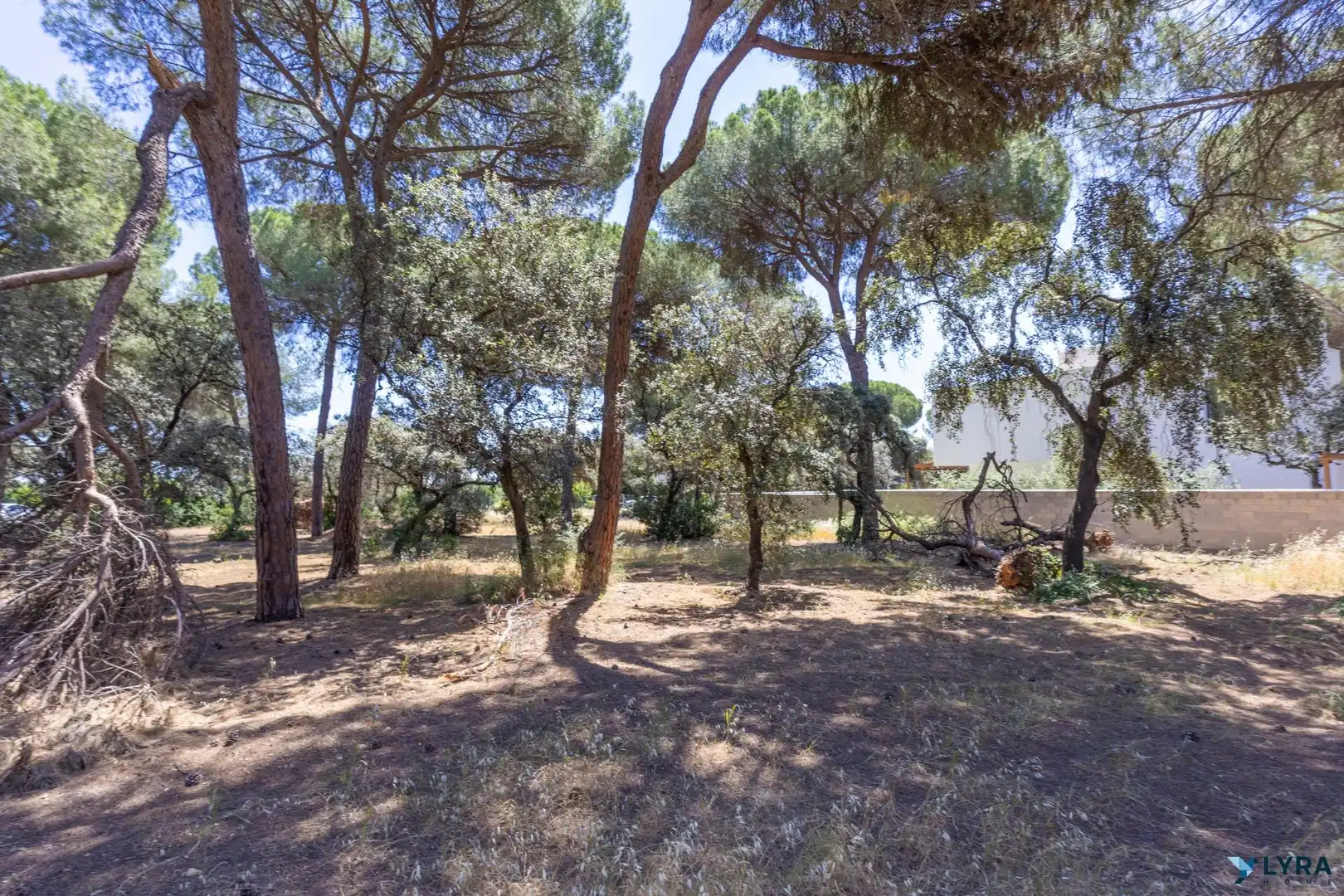 Residencial en venda en Bollullos de la Mitación
