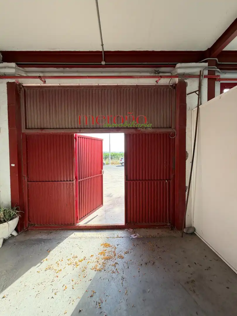 Fabrikhallen zur Miete in Elche / Elx