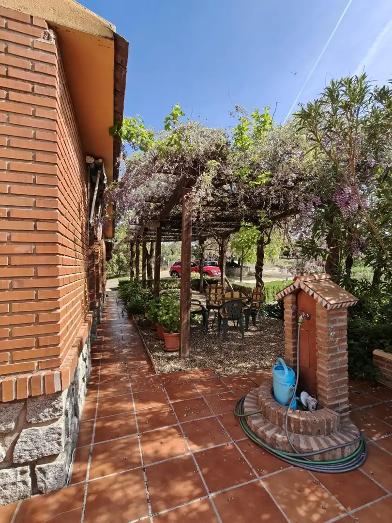 Chalet en venta en CERRO PALOS poligono 45 parcela 63, imagen 39