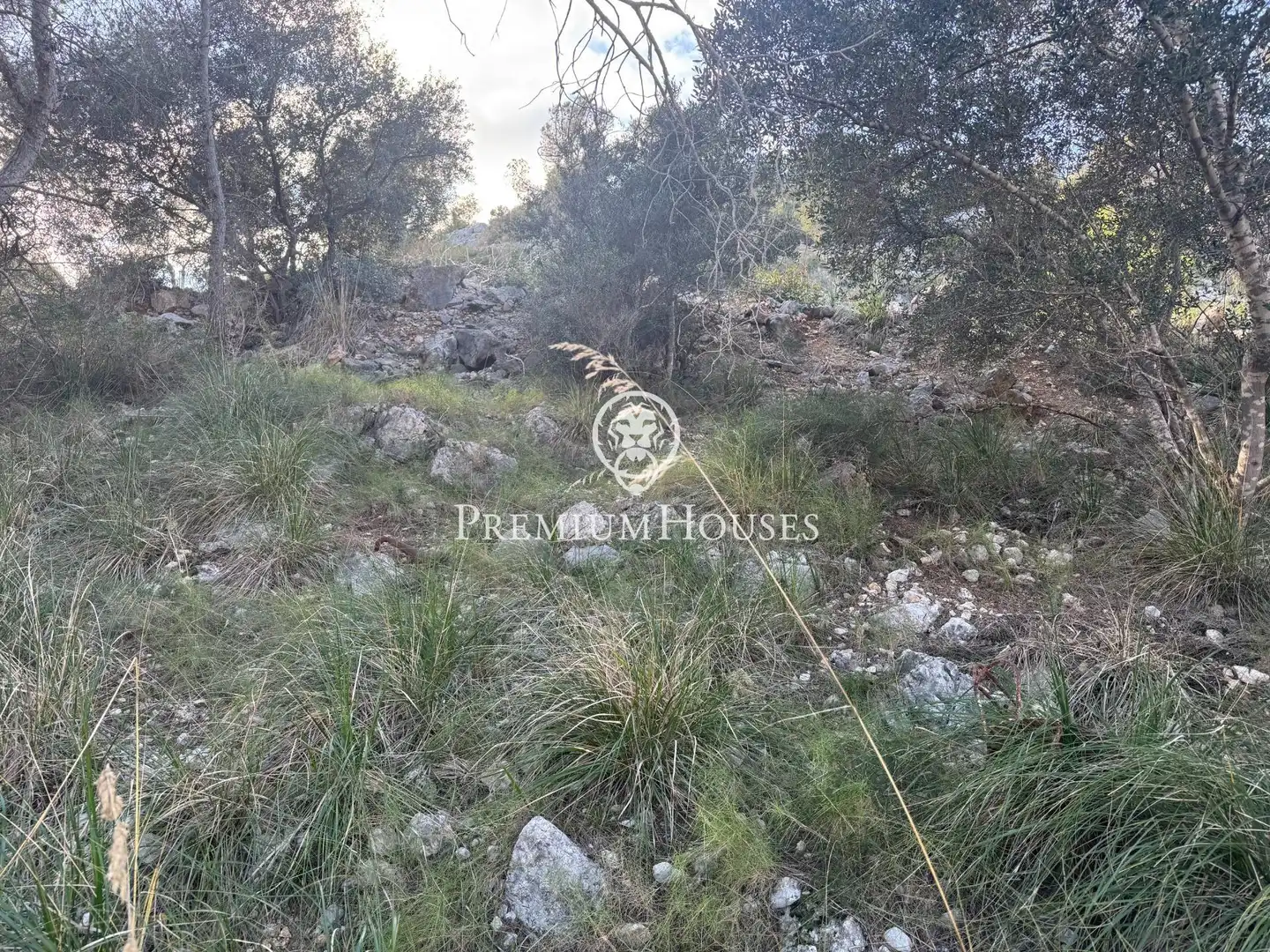 Residential land for sale in Mas Alba, imagen 7