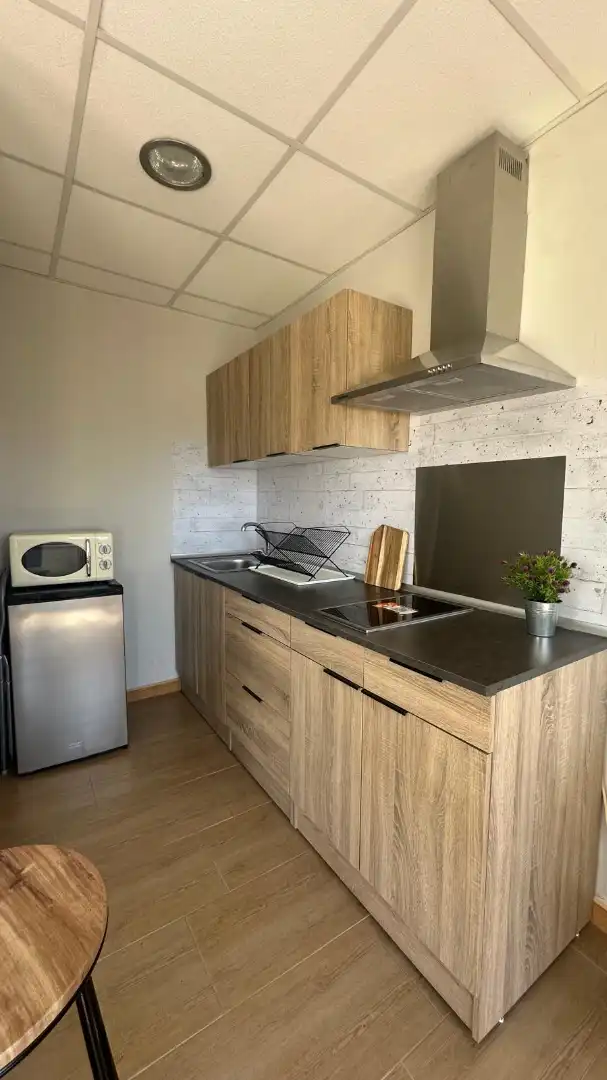 Penthouse mit Terrasse zur Miete in Avenida del Doctor Manuel Domínguez 23, imagen 16